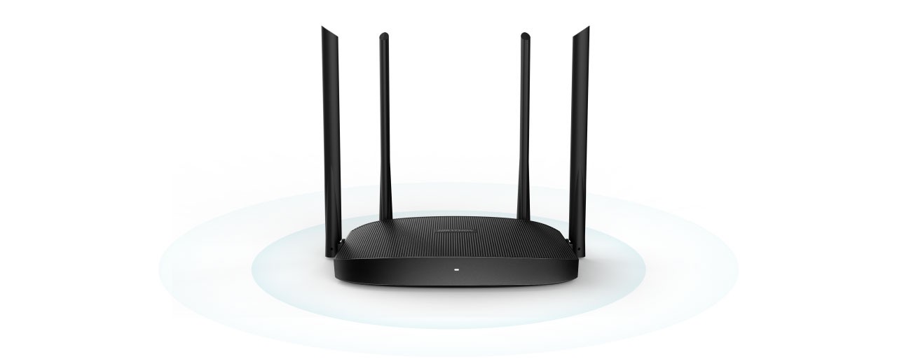 Network Router